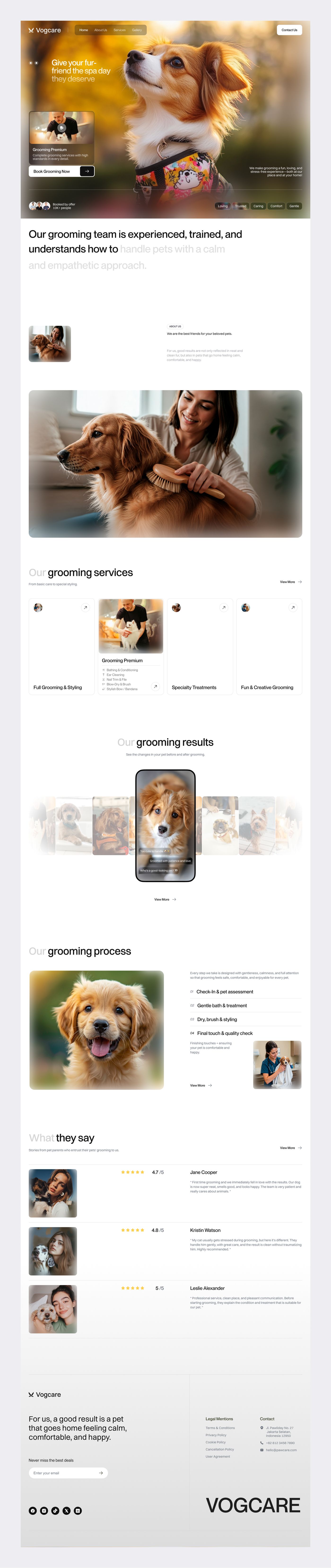Full Vogcare landing page